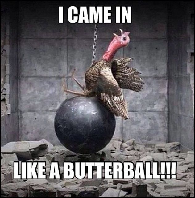 Happy Thanksgiving Meme Images
