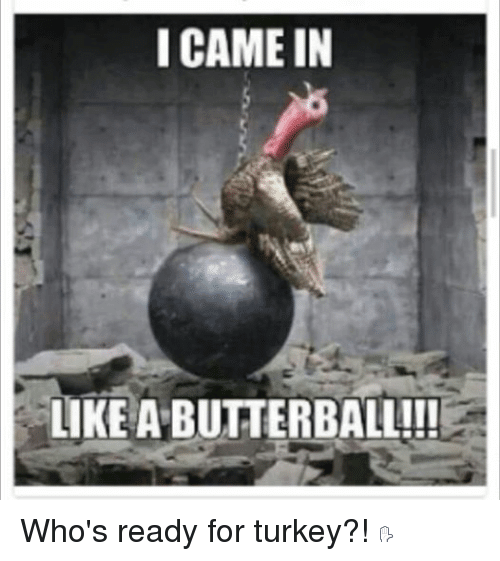 Happy Thanksgiving Turkey Meme