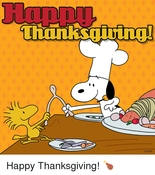 Funny Happy Thanksgiving Images