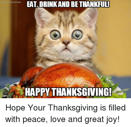 Funny Happy Thanksgiving Pictures